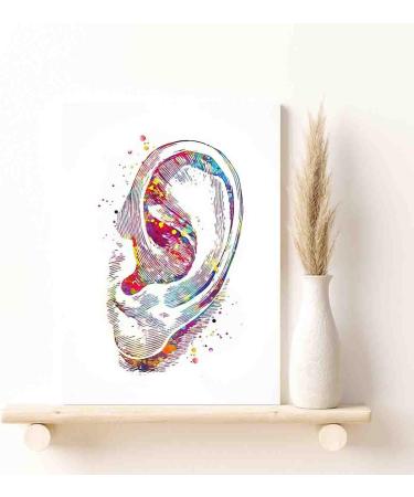 Ear Watercolor Print | Human Ear Art for Living Room Decor | Audiologist Gift | Audiology Poster | Medical Science Art | Ready to Hang 12x16 in - Buy Online on GoSupps.com