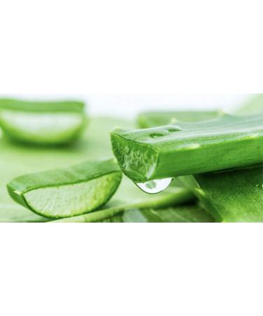 Holika Holika Aloe 99% Soothing Gel with 99% Aloe Leaf Juice from the Pristine Island of Jeju (55ml x 3) - Buy Online on GoSupps.com