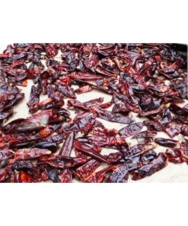 Organic Ethiopian Berbere Spice Blend 2.0 oz | Mildly Hot & Authentic - Buy Online on GoSupps.com