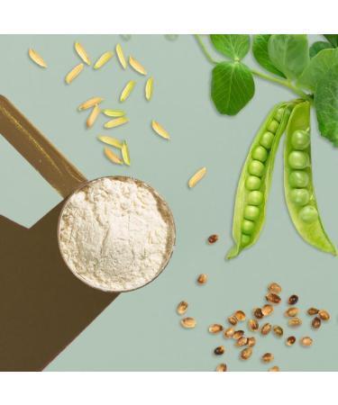 Vegji Bio Vegan Protein Blend 1000g - High Protein Pea Rice & Hemp | Natural Unsweetened Ingredients | 1 Pack - Buy Online on GoSupps.com