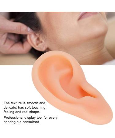 Simulated Ear Acupuncture Models - Realistic Silicone Ears for Training (Right) - Buy Online on GoSupps.com