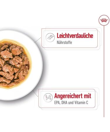 ROYAL CANIN X-Small Adult | 12 x 85 g | Wet Food for Adult and Especially Small Dogs | From 10 Months | With Appetizers in Sauce | In Pouch Bag - Buy Online on GoSupps.com