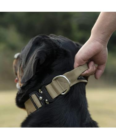 Tspro Premium Dog Collar with Handle - Adjustable Heavy-Duty Design for Small to Extra Large Dogs - Quick Lock Metal Buckle - Blue Size M (Adjustable 37-46cm) - Buy Online on GoSupps.com