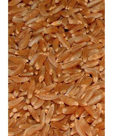 Buy Organic Kamut Ancient Wheat Grains - BIOMOND 2 x 1 000g Value Pack - Premium Khorasan Wheat from Canada for Healthy Eating - Buy Online on GoSupps.com