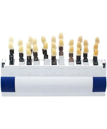 Dental Clinic 29 Colors Teeth Whitening Shade Guide 3D Shades Teeth Bleach Tooth Shade Guide - Buy Online on GoSupps.com