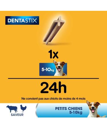 Pedigree Dentastix for Dogs - 1.76 kg Dental Treats | Healthy Teeth & Fresh Breath - Buy Online on GoSupps.com