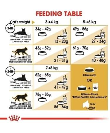 Royal Canin Ragdoll Adult Dry Cat Food 2kg - Buy Online on GoSupps.com