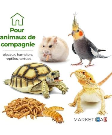 Dried Meal Worms - 160g 1L - Food for Fish Birds Turtles Hedgehogs Rodents and Reptiles - Buy Online on GoSupps.com