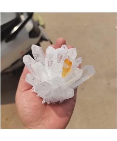 Stone Crafts Natural Clear Quartz & Yellow Quartz Cluster Decoration White Crystal Cluster Column Point Resistant ZJGIDTEM (Size : 600-700g) - Buy Online on GoSupps.com