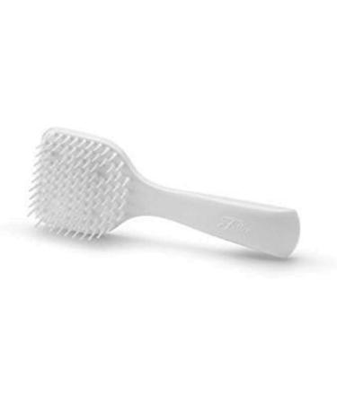 Fuller Brush Hand & Nail Brush + Scalp Massage Shampoo Brush - Ideal for Healthy Nails & Hair Care | International Shipping Available - Buy Online on GoSupps.com