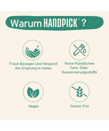 Handpicked Gluten-Free Green Tea Bags (100 Count) | Pure No Glue No Bleach | Hot & Cold Brew Kombucha Tea - Buy Online on GoSupps.com