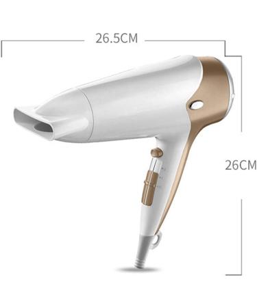 Hairdryer Professional Ionic Hair Dryer 2200W Powerful AC Motor Salon Fast Blow Dryers 3 Heat 2 Speed Settings Hair Dryer with Hair Comb/Nozzle for Men and Women Home and Salon Gold Small Gift - Buy Online on GoSupps.com