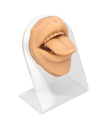 Jopwkuin Human Tongue Mouth Model Tongue Mouth Model Structure Lifelike for Piercing Practice Learning (Skin Color)