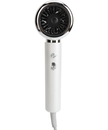 Electric Hair Dryer Overheat Blow Dryer Diffuser Nozzle Fast Drying for Home Use (US Plug 110V) - Buy Online on GoSupps.com