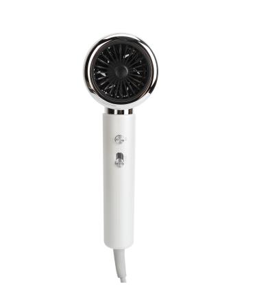 Electric Hair Dryer Overheat Blow Dryer Diffuser Nozzle Fast Drying for Home Use (US Plug 110V)