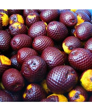 Buy 100% Organic Buriti (Aguaje) Fruit Oil - 2oz Cold-Pressed Glass Bottle | Pure Natural Moisturizer for Skin Hair & Face | Imported from Brazil - Buy Online on GoSupps.com