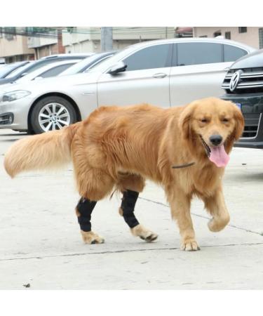 ceepdoogle Canine Dog Hock Brace Rear Leg Joint Wrap Protects Wounds as They Heal Compression Wrap Heals and Prevents Injuries and Sprains Helps with Loss of Stability Caused by Arthritis Puppy - Buy Online on GoSupps.com