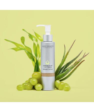 Juice Beauty Stem Cellular 2-in-1 Cleanser - Natural Organic Skincare - Buy Online on GoSupps.com