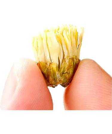 Chrysanthemum loose tea Chrysanthemum Tea Flowers 150g / 5.3oz organic chrysanthemum tea Dried Fetal Chrysanthemum Bud  - Buy Online on GoSupps.com