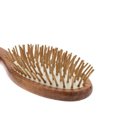 Nippes Solingen Pneumatic Hair Brush - Antistatic Waxed Beech with Special Wood Pens for Hair Health | Oval Design for Gentle Styling - Buy Online on GoSupps.com