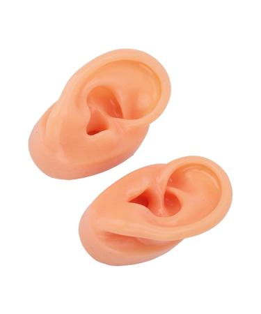 Silicone Human Ear Model for IEM Earphones Display - Professional Lecturing Display - Buy Online on GoSupps.com