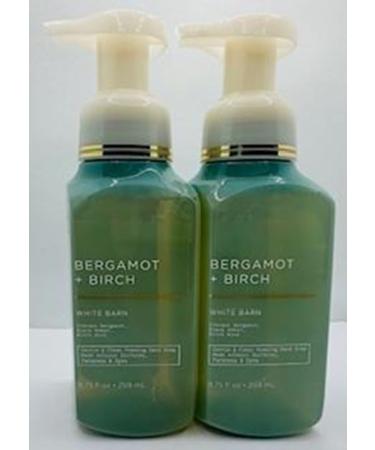 Set of 2 Bergamot + Birch Gentle Foaming Hand Soap 8.75 Ounce Green
