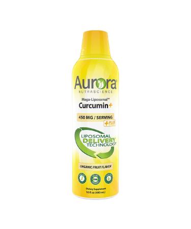 Aurora Nutrascience Mega-Liposomal Curcumin+ Organic Fruit Flavor 600 mg 16 fl oz (480 ml)