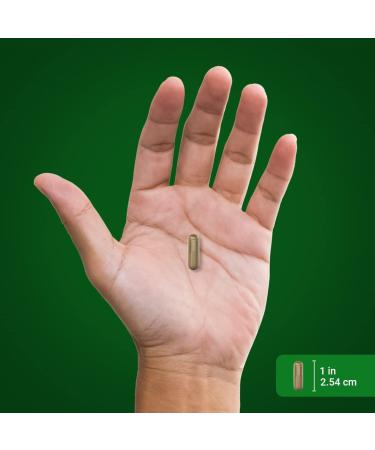 Pygeum Africanum Extract 4000mg | 200 Capsules | Piping Rock Extra Strength Supplement - Buy Online on GoSupps.com