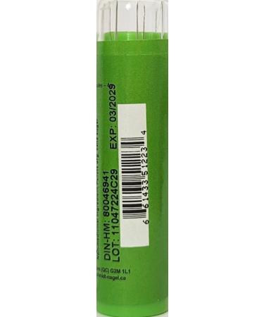 Veratrum Album MK (1M) Homeopathy Medicine Schmidt-Nagel Canada (Homeodel) 90 pellets/granules - Buy Online on GoSupps.com