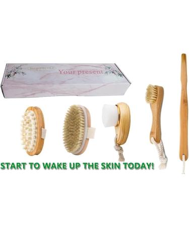 Premium Dry Brushing Body Brush Set - Exfoliating Scrubber with Long Handle | Natural Boar Bristles | Face Cleansing Brush | Lymphatic Drainage | Gift for Glowing Skin - Buy Online on GoSupps.com