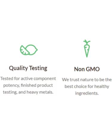 Nicotinamide Riboside | NAD+ Vitamin B3 Supplement | 300mg Nicotinamide Riboside (Vitamin B3) & 400mg Coenzyme Q10 Ubiquinone (CoQ10) Supports Cellular Repair Anti-Aging & Increased NAD+ | 30 Capsules (Pack of 1) 30 count (Pack of 1) - Buy Online on GoSupps.com