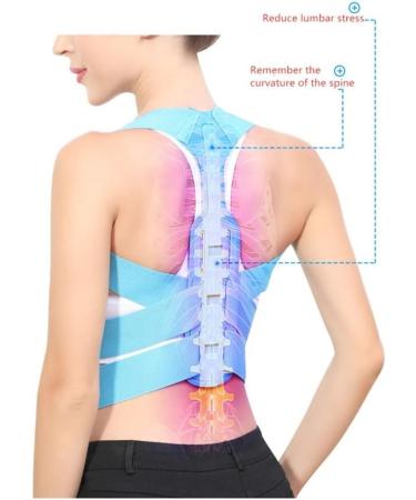 DFHBFG Adjustable Back Brace Support Belt - Posture Corrector for Lumbar & Shoulder | Improve Posture with Comfort - Buy Online on GoSupps.com
