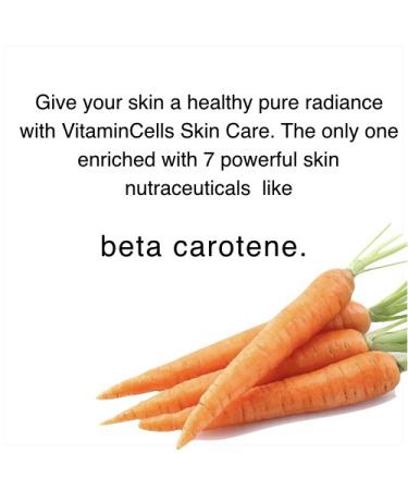 Ecco Bella Plant-Based Night Cream | Anti-Aging Moisturizer with Hyaluronic Acid Vitamin C & E | 2oz - All Natural International Shipping Available - Buy Online on GoSupps.com