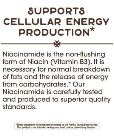 Nature's Way Niacinamide 500mg - Pack of 3 | Triple Pack for Skin Health and Wellness - Buy Online on GoSupps.com