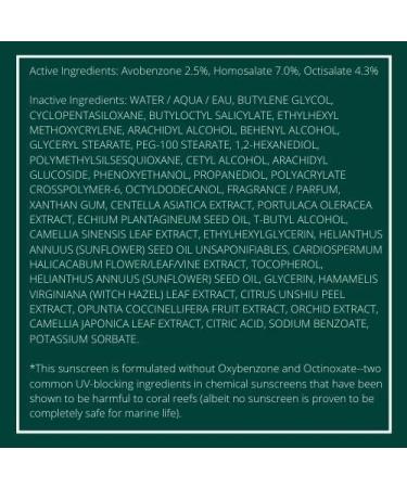 innisfree Daily UV Defense Sunscreen SPF 36 - Broad Spectrum (Pack of 2) - Buy Online on GoSupps.com