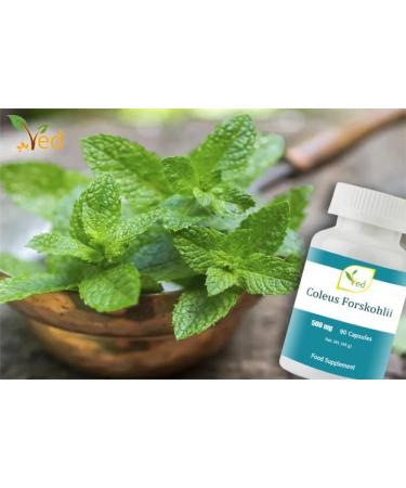 VED Coleus Forskohlii | Promoting Healthy Vascular Function | 500 Mg 90 Capsules - Buy Online on GoSupps.com