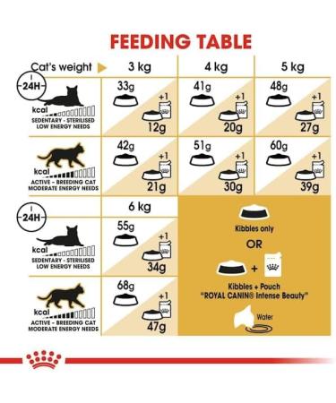 Royal Canin Siamese Adult Dry Cat Food 3 x 400g - Buy Online on GoSupps.com