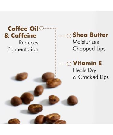 Premium Vegan Lip Balm for Men & Women - 24-Hour Moisturization Reduces Pigmentation - 12g with Shea Butter & Vitamin E - Buy Online on GoSupps.com