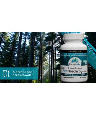 Dr. Cass Ingram Wild Pine Needle Capsules with Spruce Black Cumin & Oregano - Immune Support & Respiratory Wellness Supplement - 90 Count - Buy Online on GoSupps.com