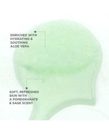 M Carnaval Mamiba Hand Wash 2 x 169 Fl Oz Bottles - Pomegranate Scent Suitable for All Skin Types Daily Use. Hotel Guest Amenities Vacation & Short Term Rentals Airbnb and Toiletries. - Buy Online on GoSupps.com