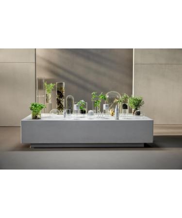 DOCTOR BABOR Cleansing Oil Balm | Gentle Cleansing Balm | For Daily Facial Cleansing | With Grapefruit & Musk | Vegan | 100ml - Buy Online on GoSupps.com