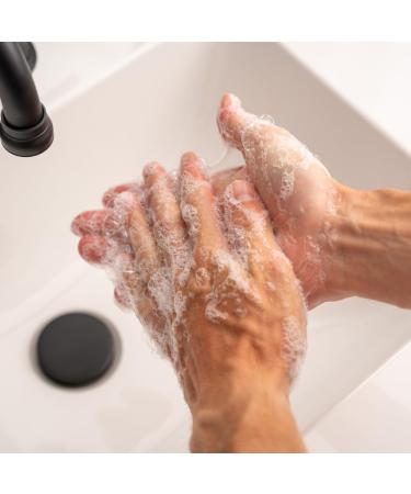 ZEUS Liquid Hand Soap with Aloe Vera | Natural Moisturizing Hand Wash | Prevents Dry Skin | Sandalwood Scent | Made in USA | 12 oz - Buy Online on GoSupps.com