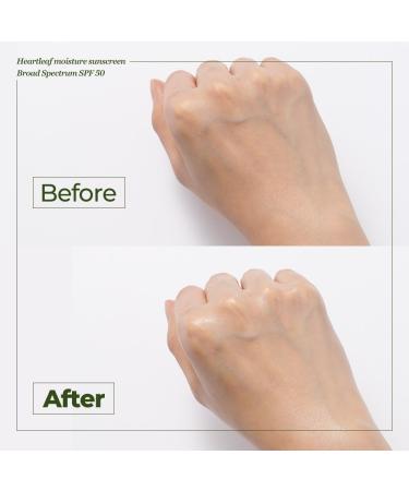 JMsolution Heart Leaf Sunscreen SPF 50 Made in USA Calming UV Protection with Heart Leaf & Centella Asiatica Lightweight Hydrating Face Sunscreen for Sensitive Skin - Buy Online on GoSupps.com