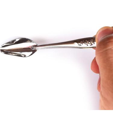 Metal Parrot Feeding Spoon - Stainless Steel Hand Feeding Spoon for Cockatiels & Small Birds - Perfect for Food Milk & Water - Buy Online on GoSupps.com