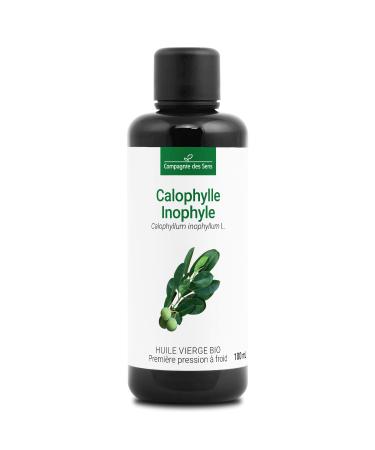 Calophyll Inophyl Organic Virgin Vegetable Oil – Glass Bottle – Cold Pressure – 100 ml