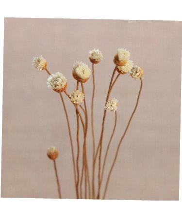 20 Rattan Diffuser Sticks for Essential Oils | Rose Replacement Refills for Home Bedroom Bathroom - Buy Online on GoSupps.com