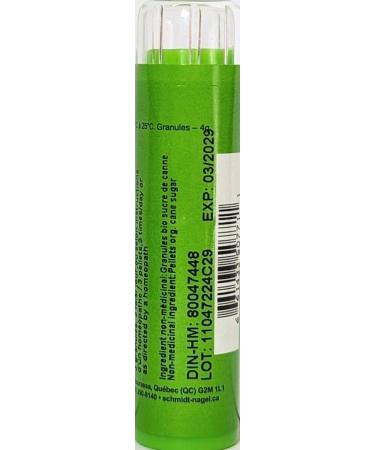 Streptococcinum MK (1M) Homeopathy Medicine - 90 Pellets by Schmidt-Nagel | Buy Online in Canada - Homeodel - Buy Online on GoSupps.com