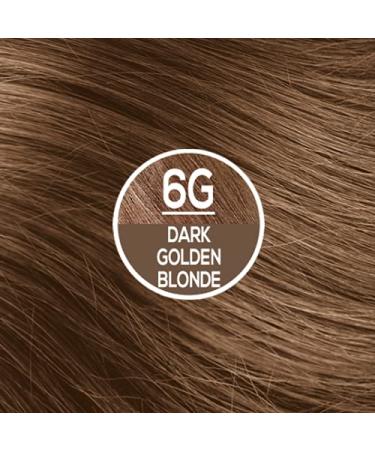Naturtint 6G Dark Golden Blonde Hair Color - Pack of 6 | Ammonia-Free, Vegan, Cruelty-Free | Up to 100% Gray Coverage | Long-Lasting Results - Buy Online on GoSupps.com
