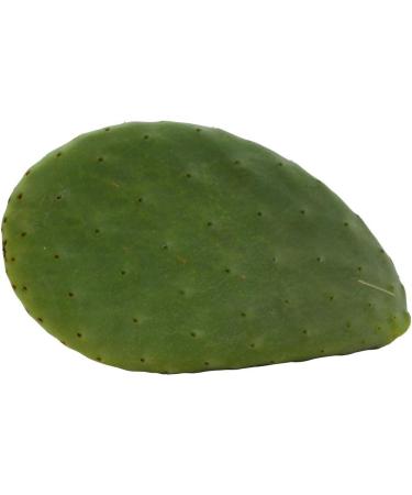 Buy 2kg Opuntias (Opuntia) | Cactus Leaves | Premium Fodder Plant & Turtle Food | International Shipping Available - Buy Online on GoSupps.com