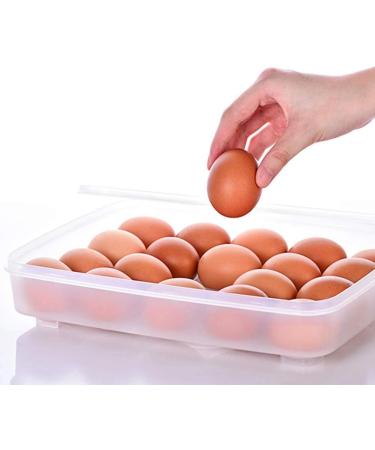 CWDRDX Egg Holder for Refrigerator Deviled Egg with Lid Fridge Egg Storage Stackable Plastic Egg Containers 24 Egg - Buy Online on GoSupps.com